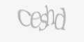 Código de segurança