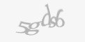 Código de segurança