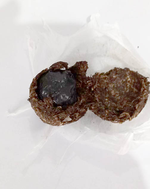 p 1 sao vicente 01.04